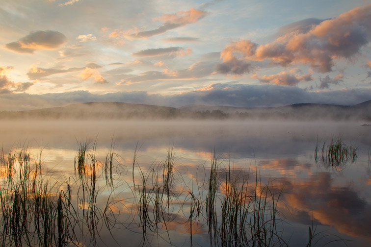 Loch Garten at dawn, Abernethy NNR, Cairngorms National Park, Scotland, UK
